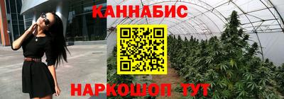 МДПВ Новозыбков