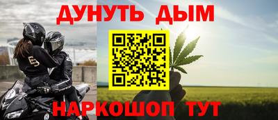 МДПВ Новозыбков