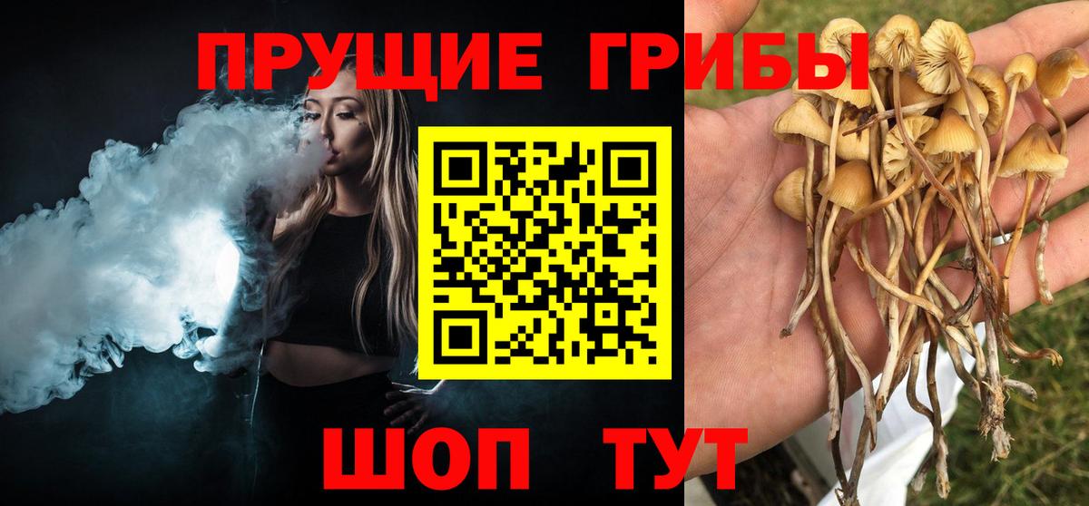 Псилоцибиновые грибы мухоморы  где купить   Ставрополь  Вход с VPN 